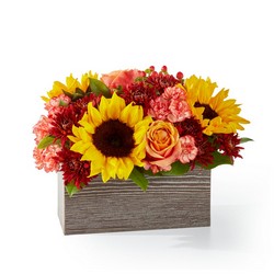 Fresh Cider Bouquet from Pennycrest Floral in Archbold, OH